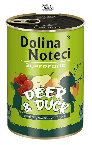 Dolina Noteci