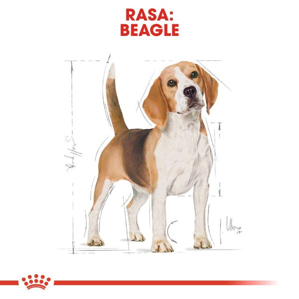 Royal Canin