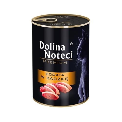 Dolina Noteci