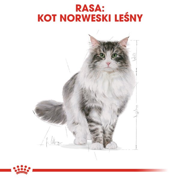 Royal Canin
