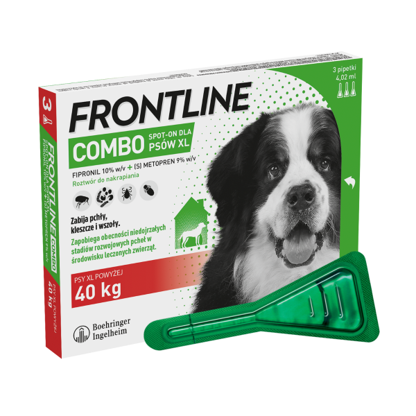 Frontline