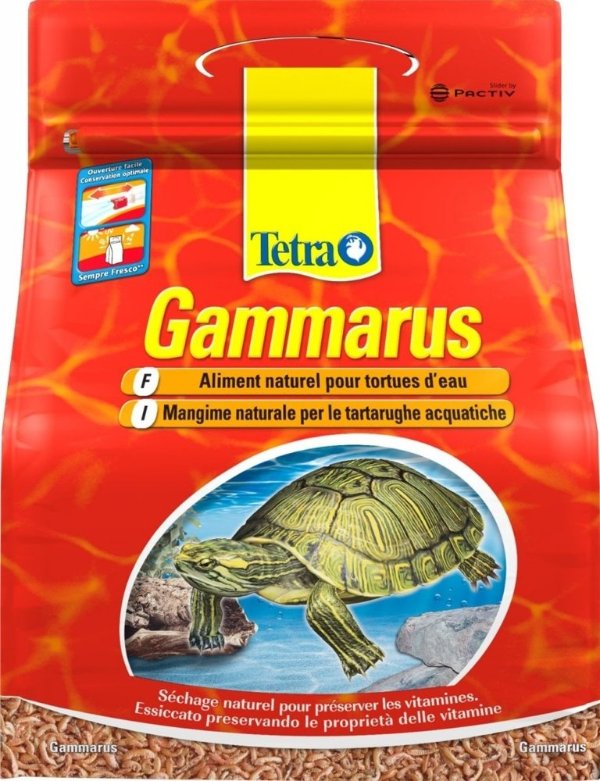 Tetra