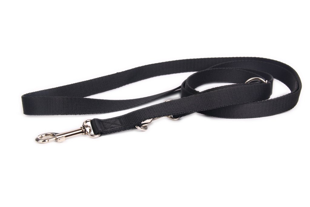 DogStuffs Smycz Regulowana - Czarna 15mm/220cm