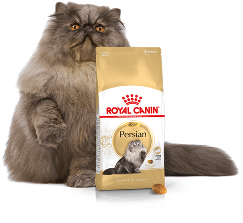 Royal Canin