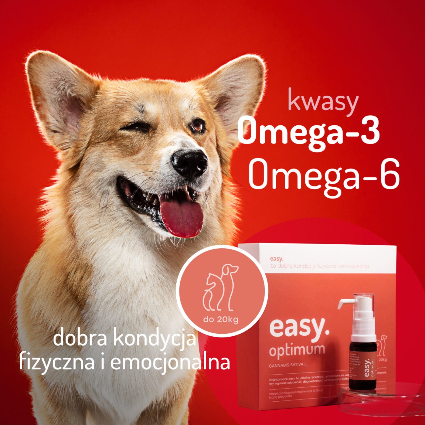 Easy. Olej Konopny dla Psów i Kotów Optimum powyżej 20kg