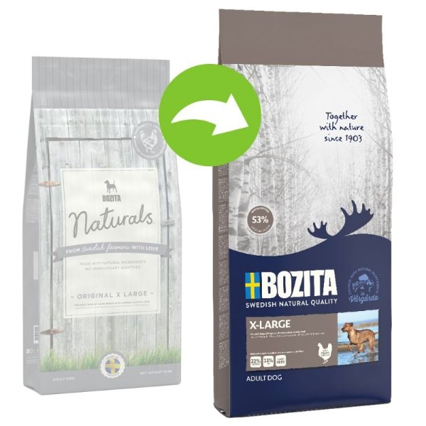 Bozita