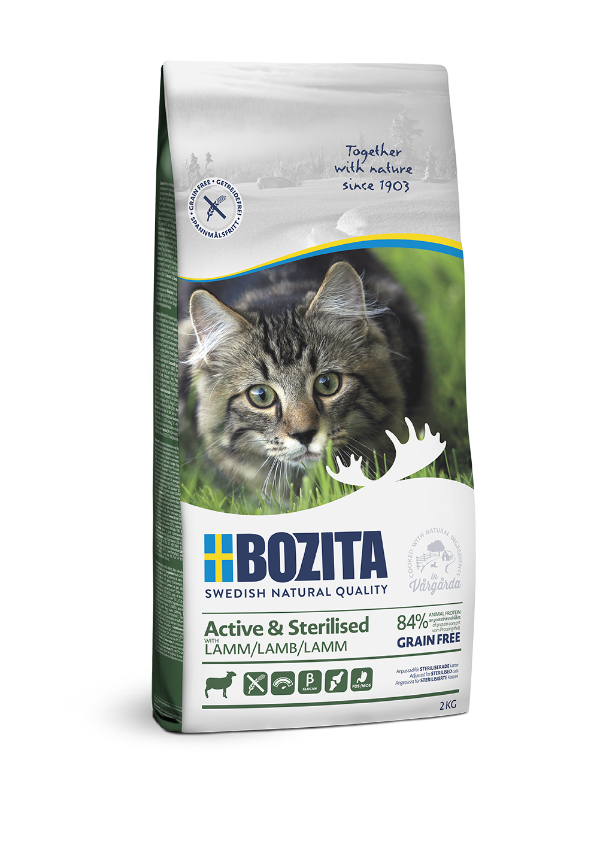 Bozita