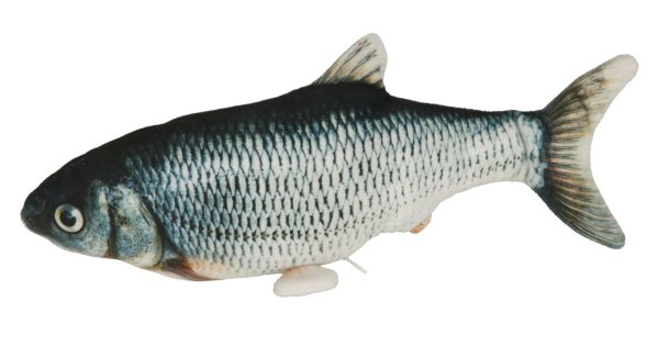 Kerbl