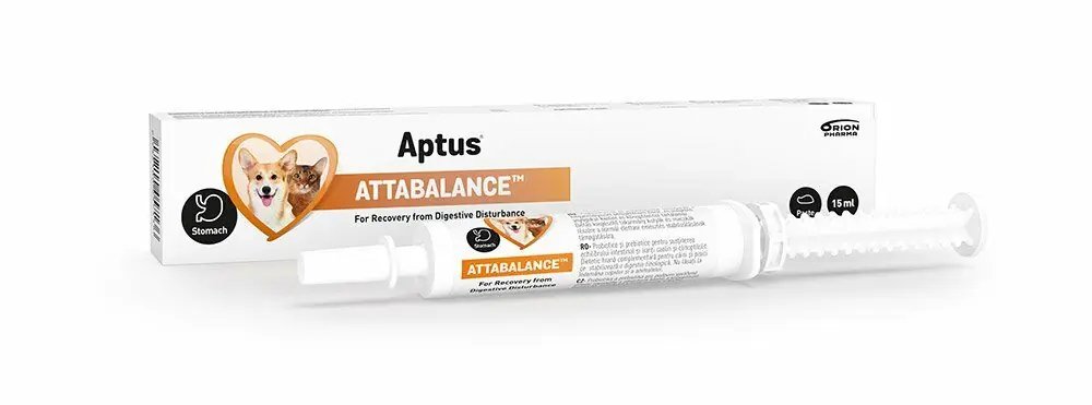 Aptus Attabalance Pasta Dla Psów I Kotów Probiotyk 15ML