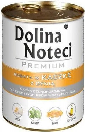 Dolina Noteci