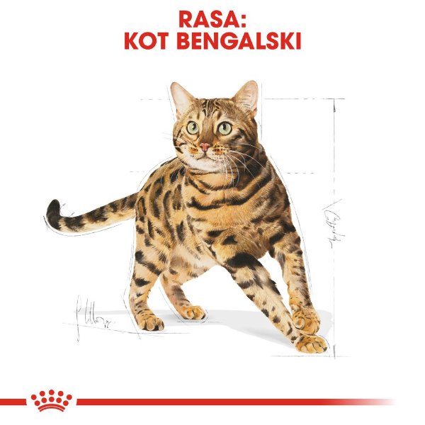 Royal Canin