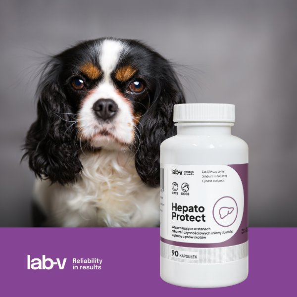 Lab-V