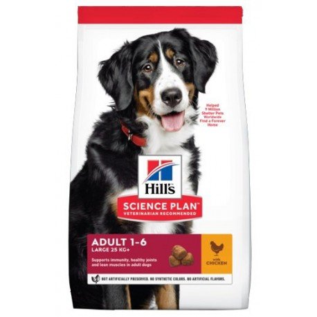 Hill's