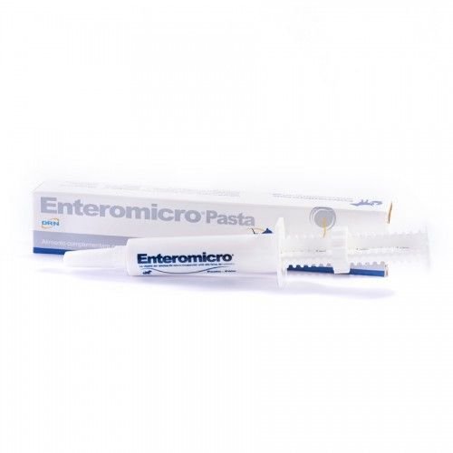 GEULINCX Enteromicro pasta 15ml