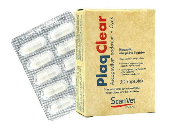 Scanvet