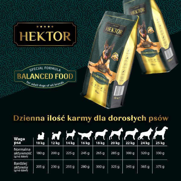 Hektor
