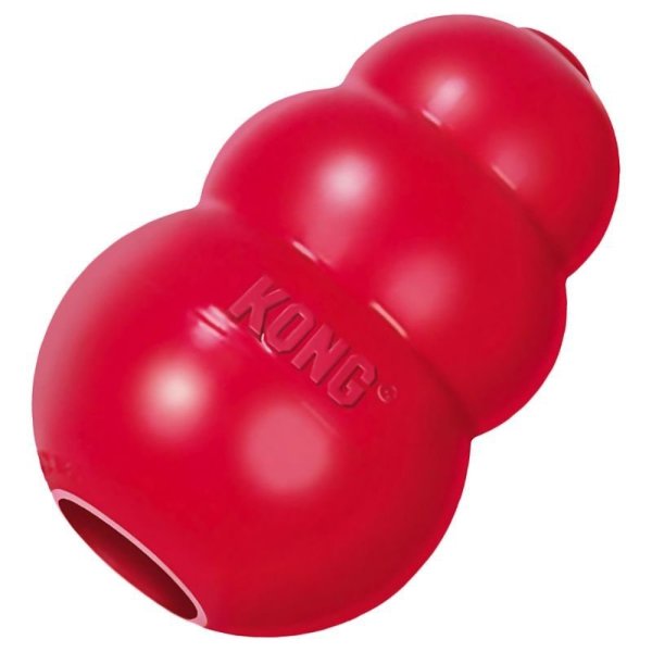 Kong