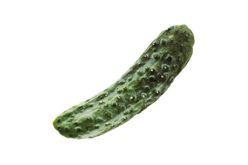 Ferribiella Matatabi Ogórek 14cm