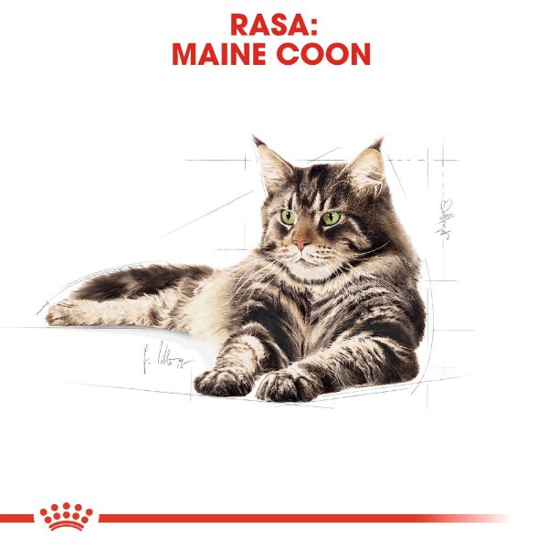 Royal Canin
