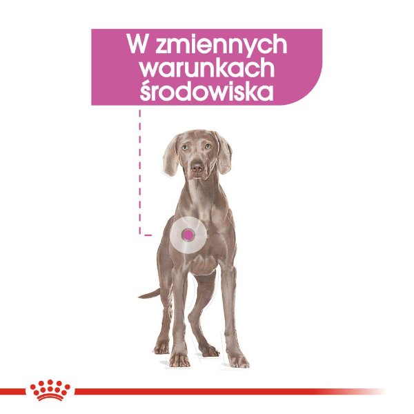 Royal Canin