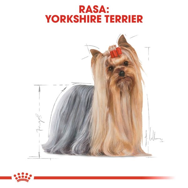 Royal Canin